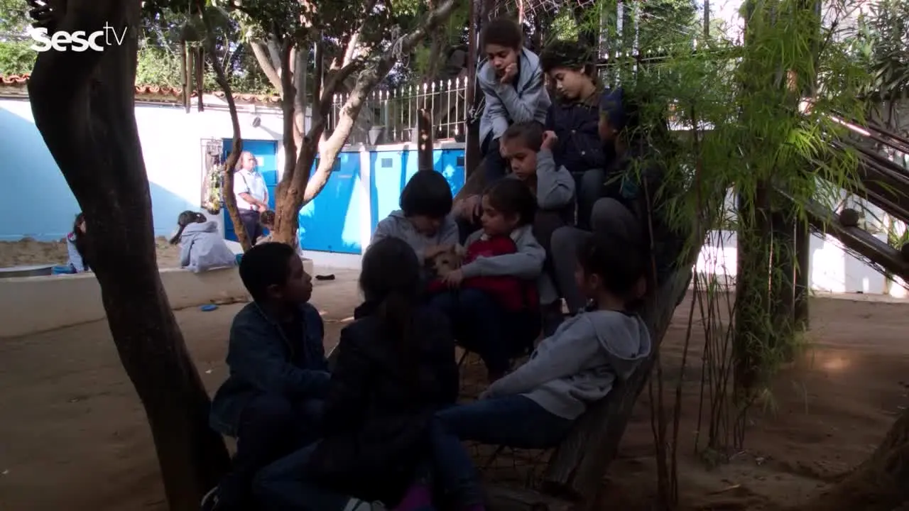 SESC TV en direct