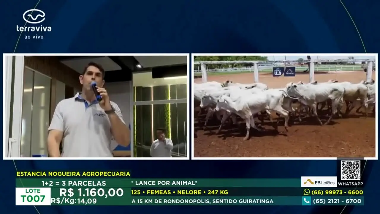 Terra Viva en vivo