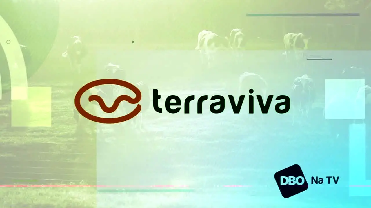 Terra Viva live