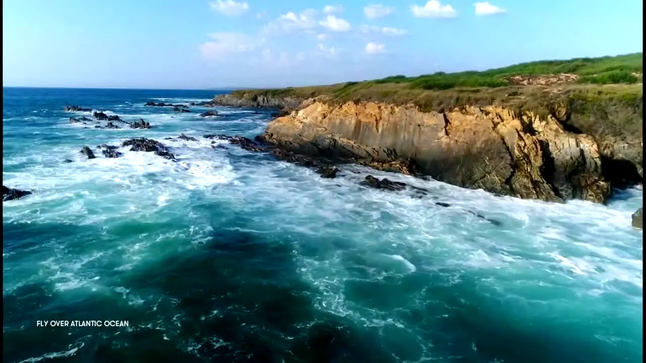 Stingray Naturescape na żywo