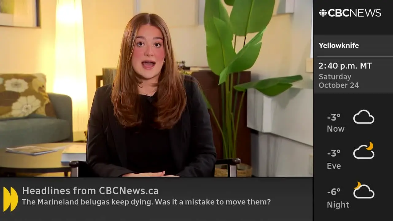 CBC News Network na żywo