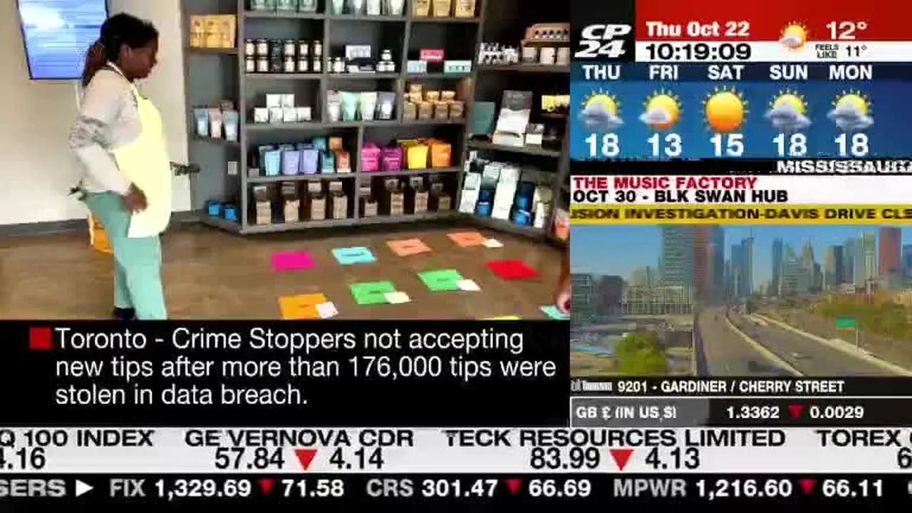 CP24 live