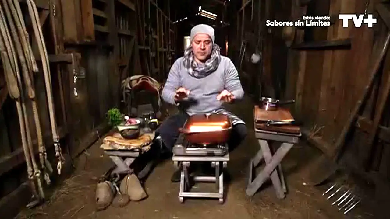 TV+ live