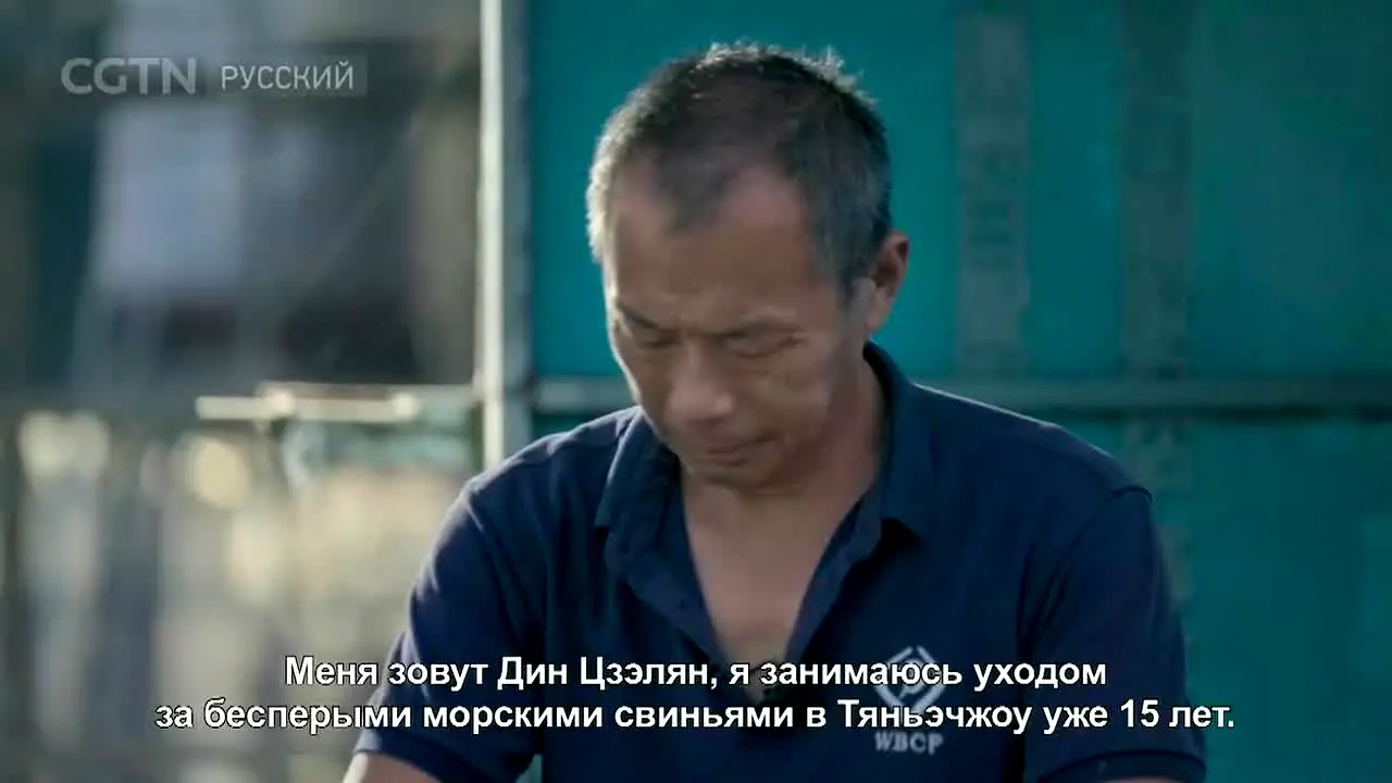 CGTN Russian live