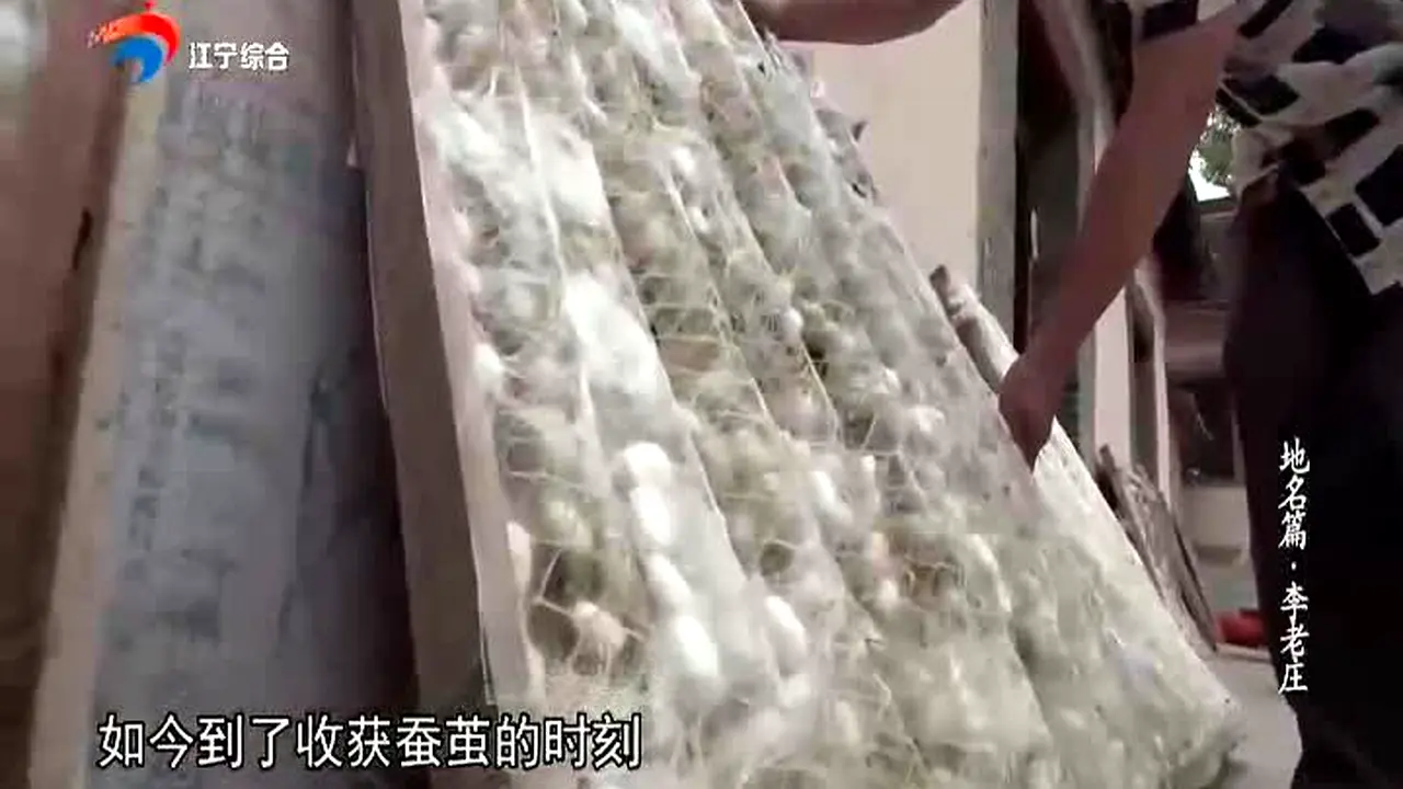 Jiangsu Public & News Channel live