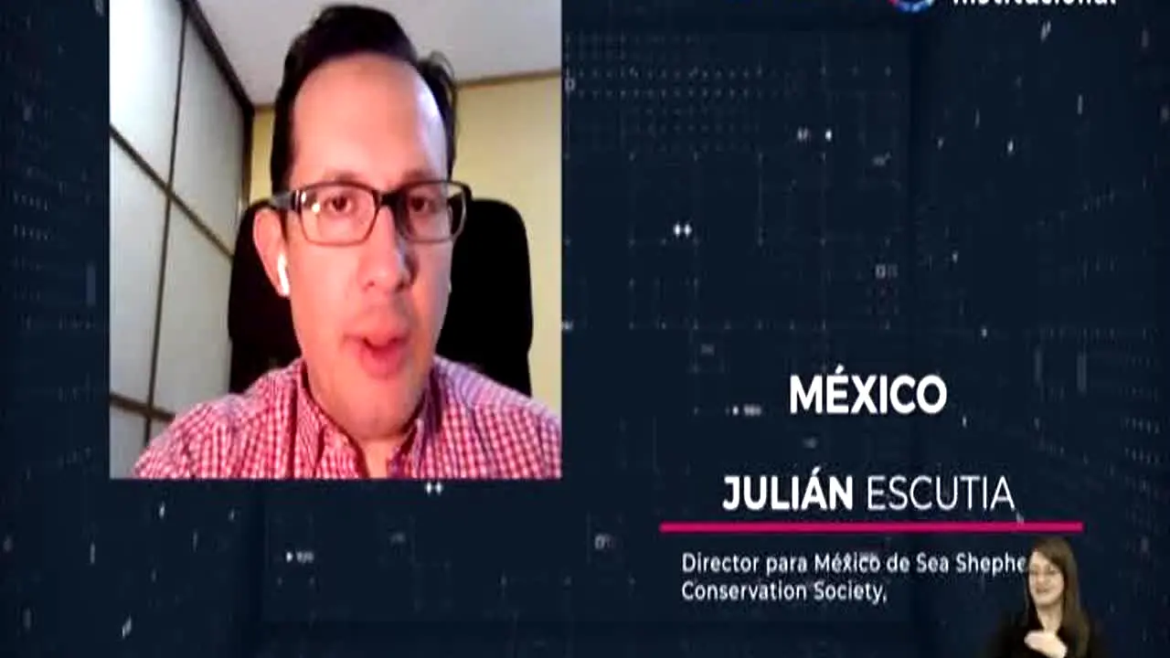 Canal Institucional live
