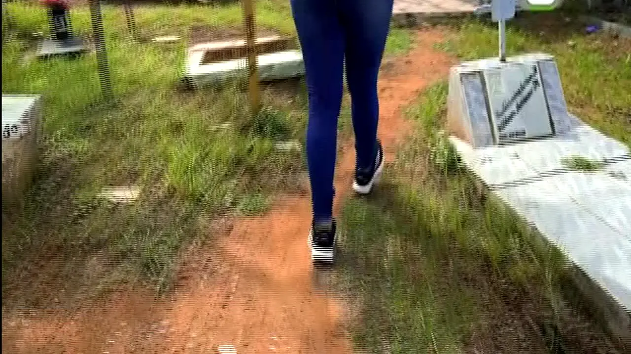 Canal TRO na żywo