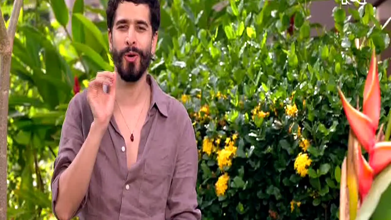 Canal RCN live