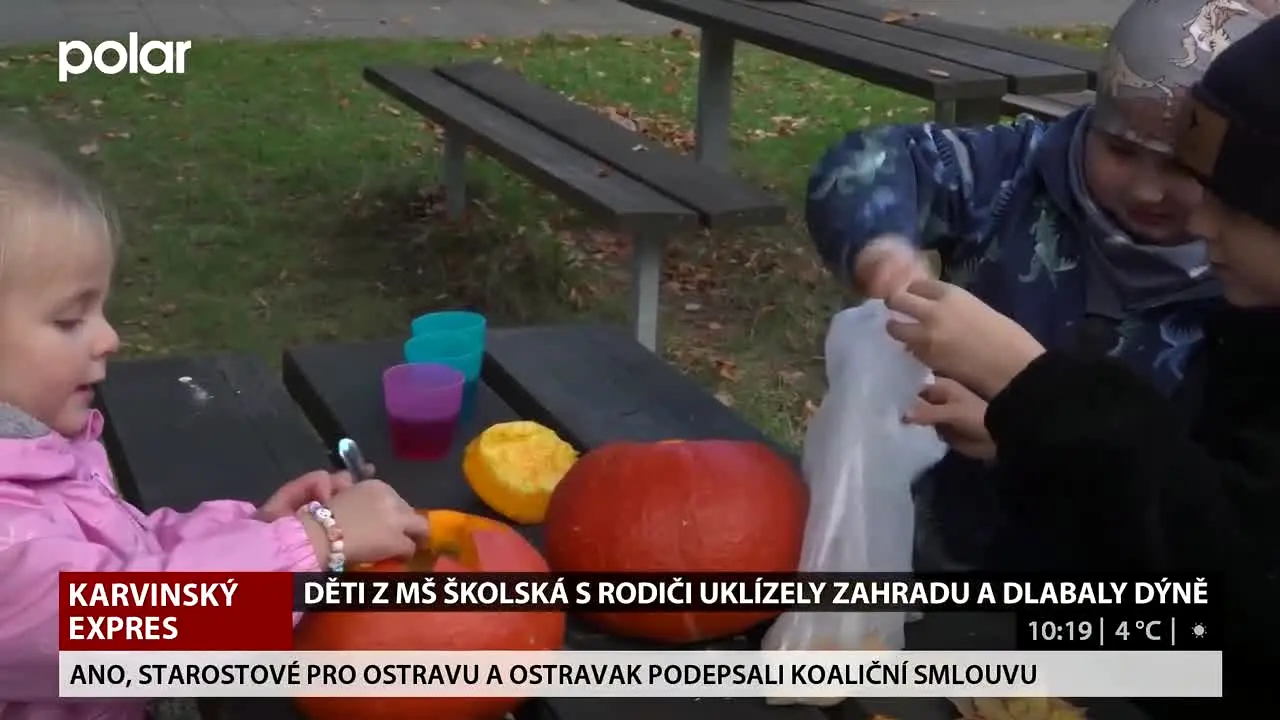Polar TV live