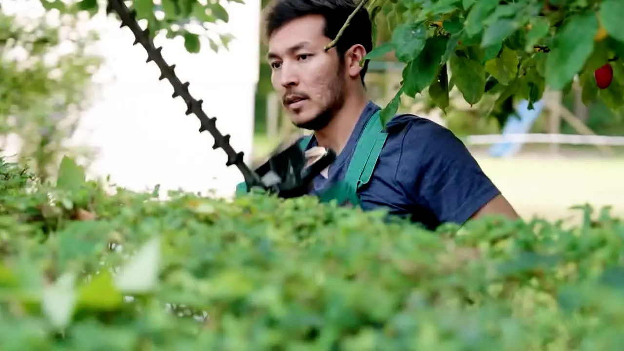 DW English live