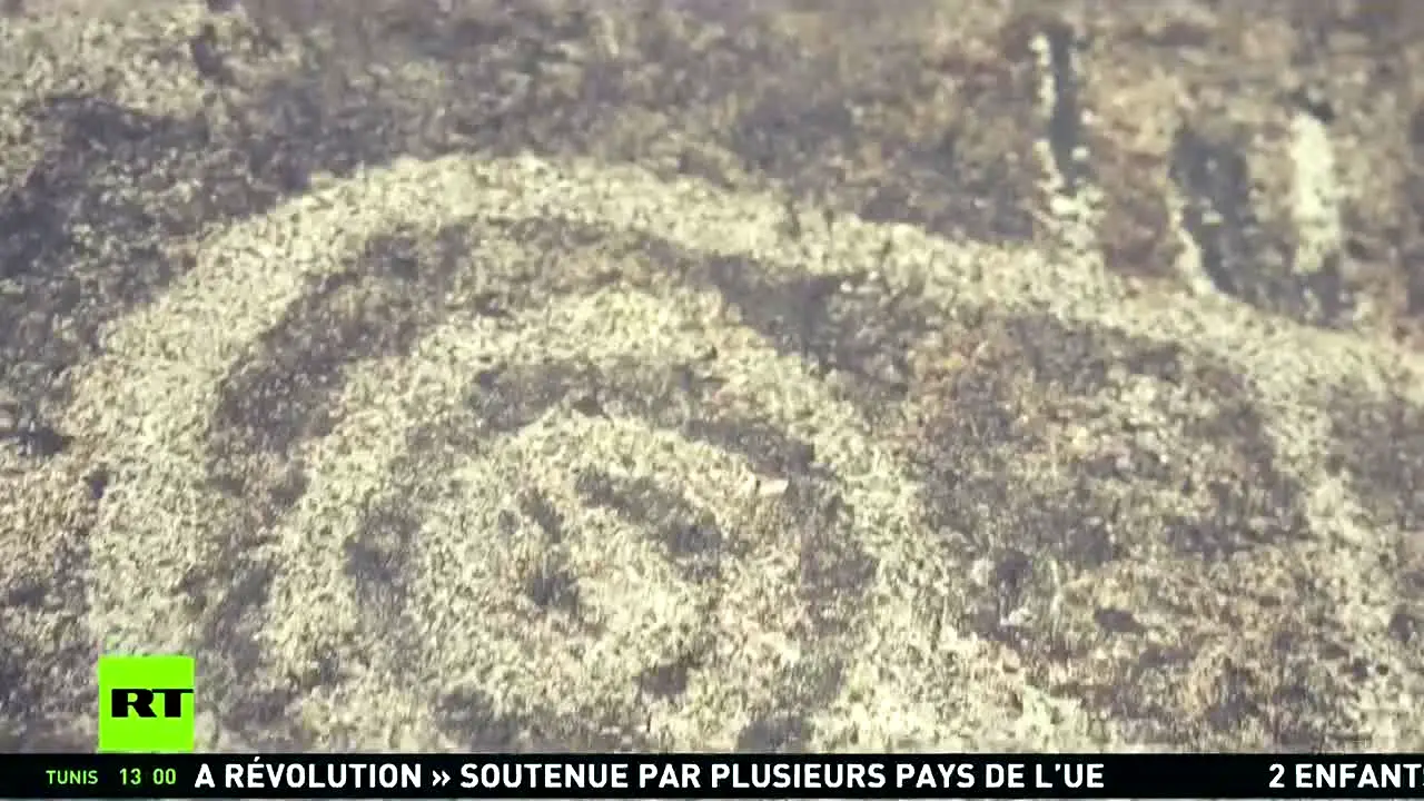 RT France in diretta