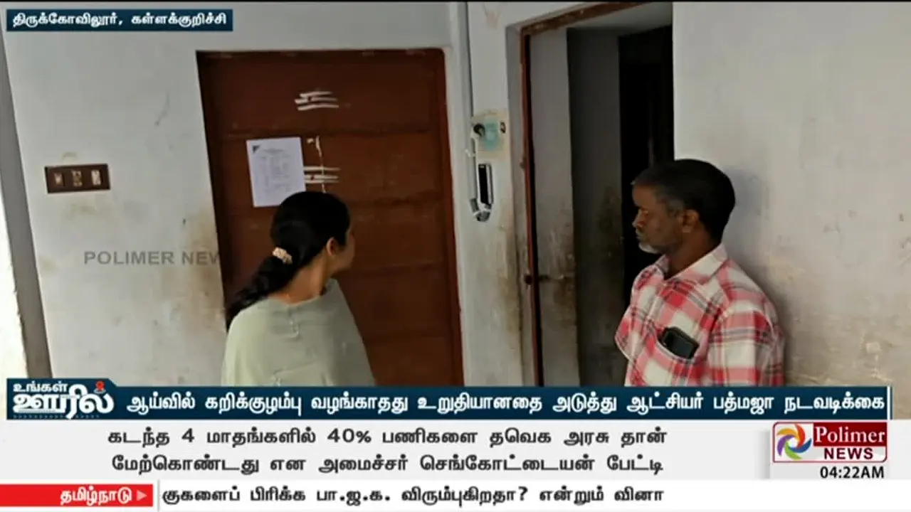 Polimer News live