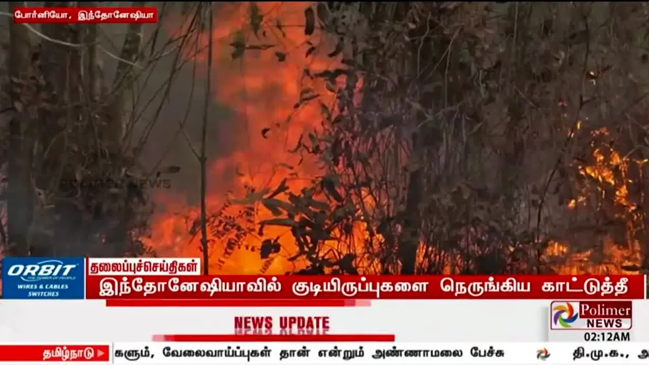 Polimer News live