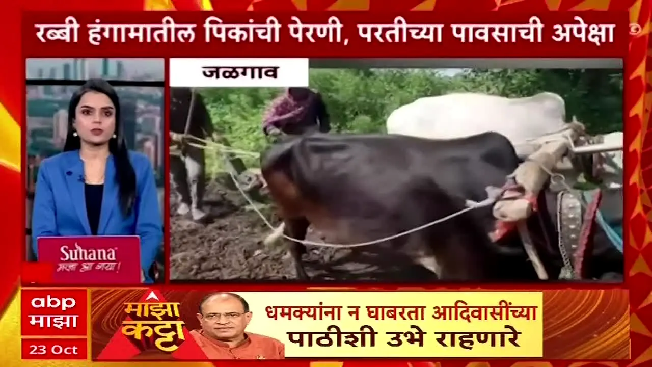 ABP Majha live