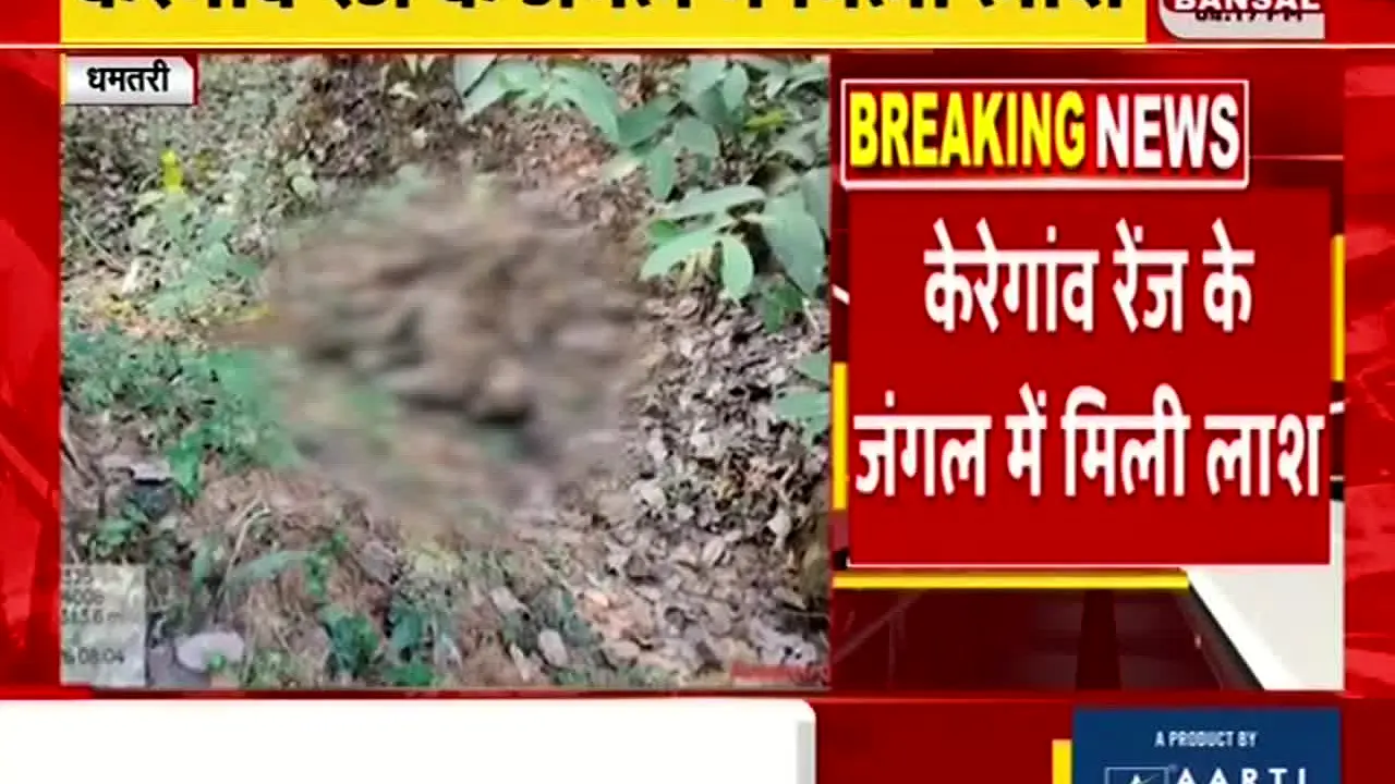 Bansal News in diretta