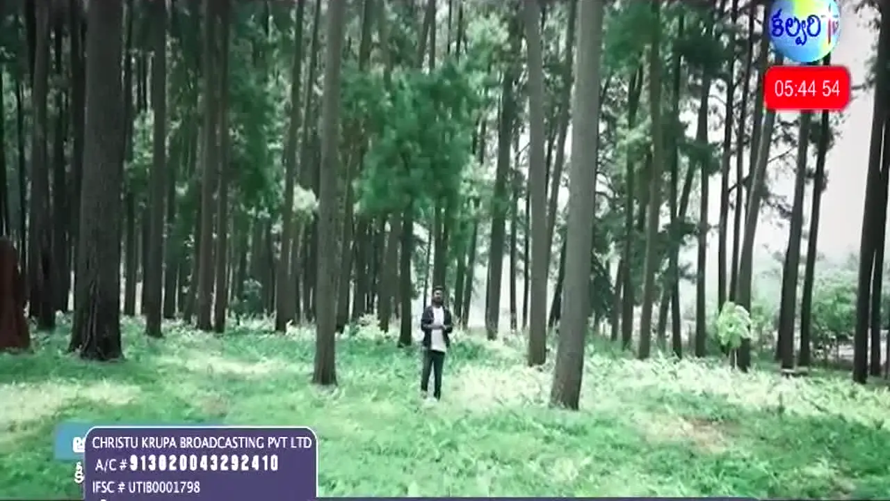 Calvary TV na żywo