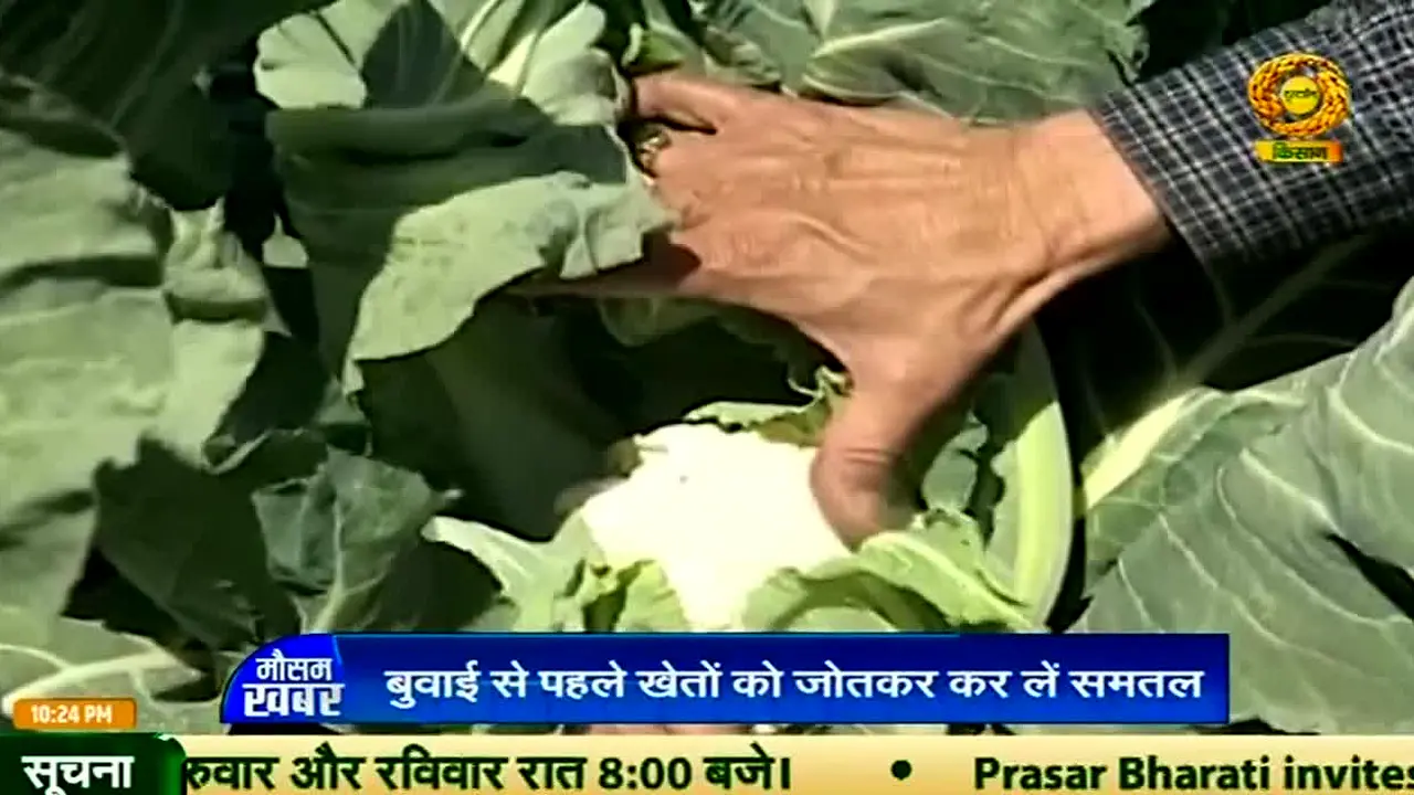 DD Kisan live