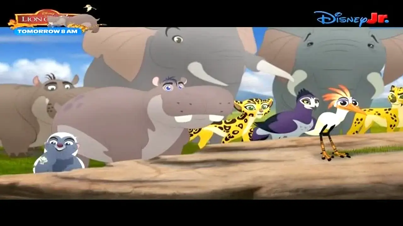 Disney Junior live