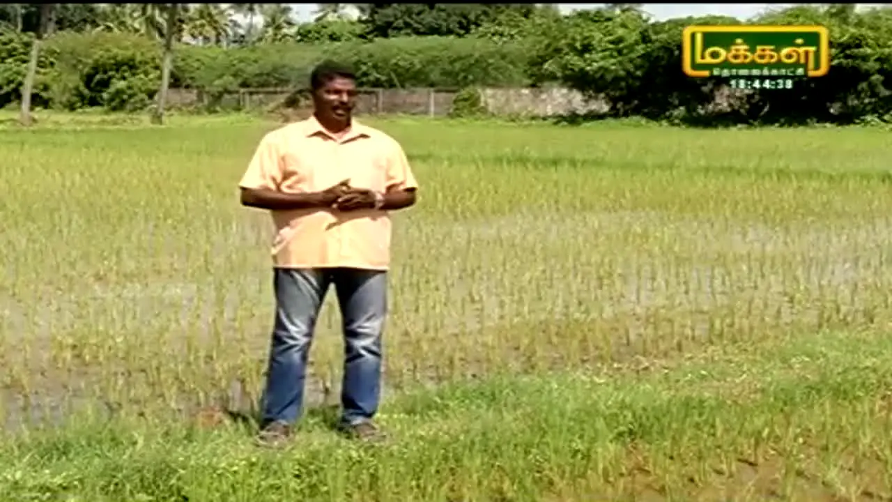Makkal TV na żywo