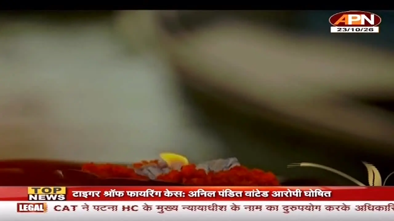 APN live