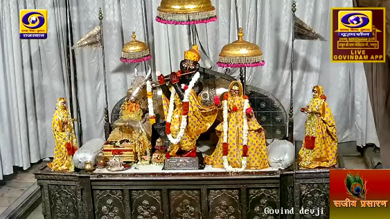 DD Rajasthan na żywo