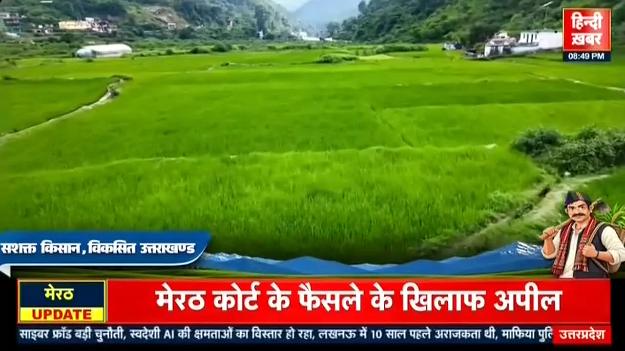 Hindi Khabar live