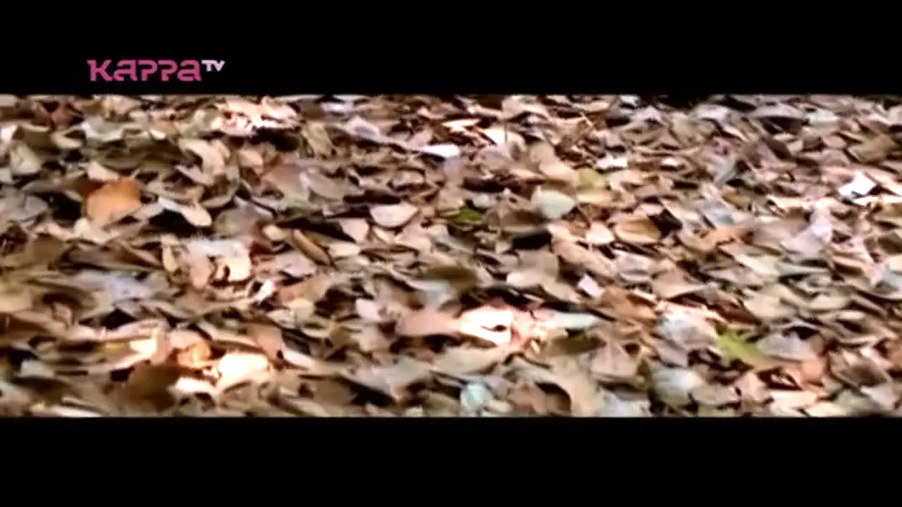 Kappa TV en vivo