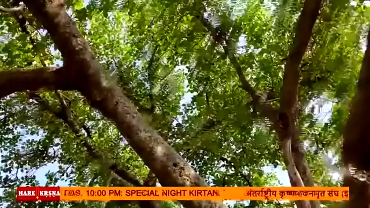 Hare Krsna TV live