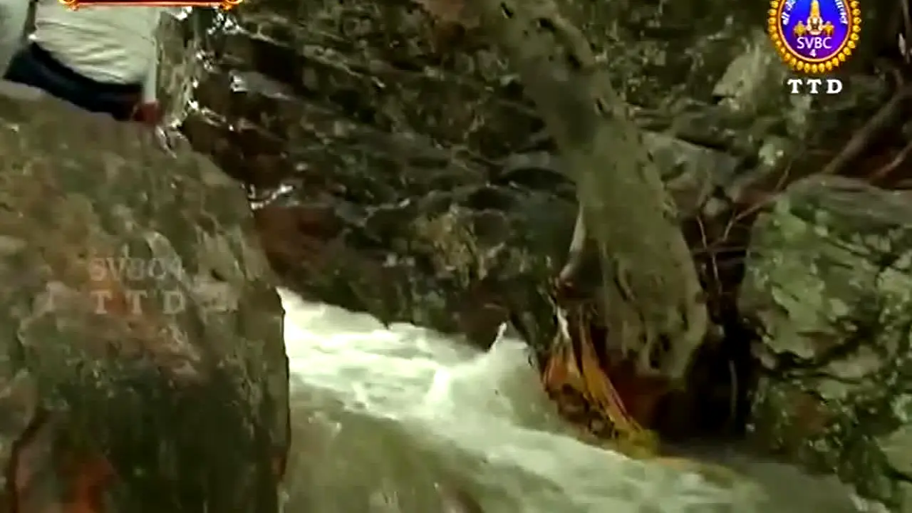 Sakshi TV live