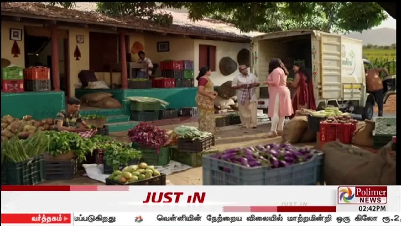 Polimer News live