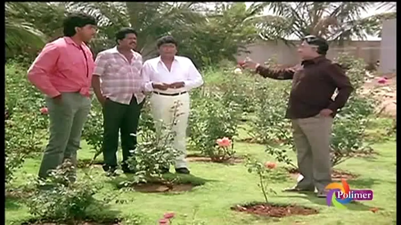 Polimer TV live