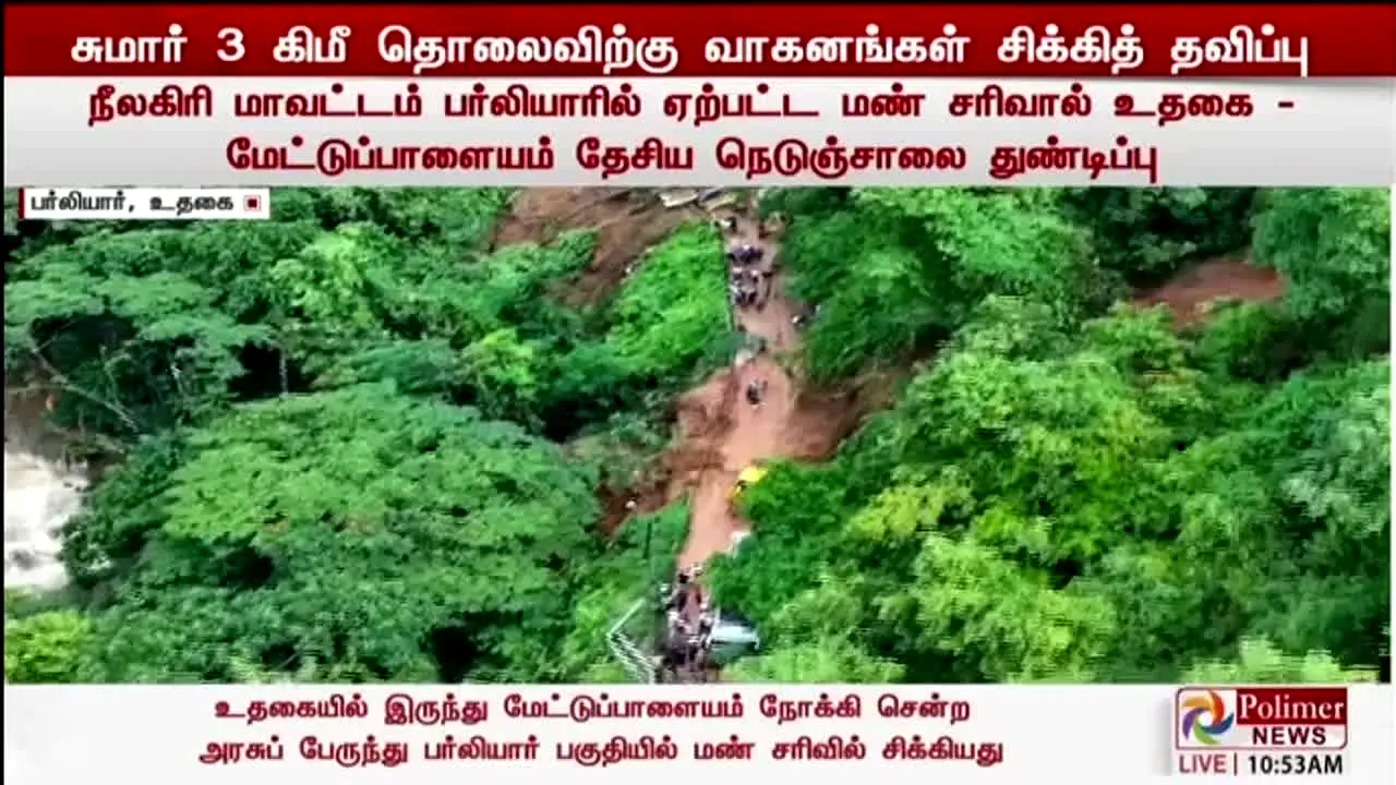 Polimer News en direct
