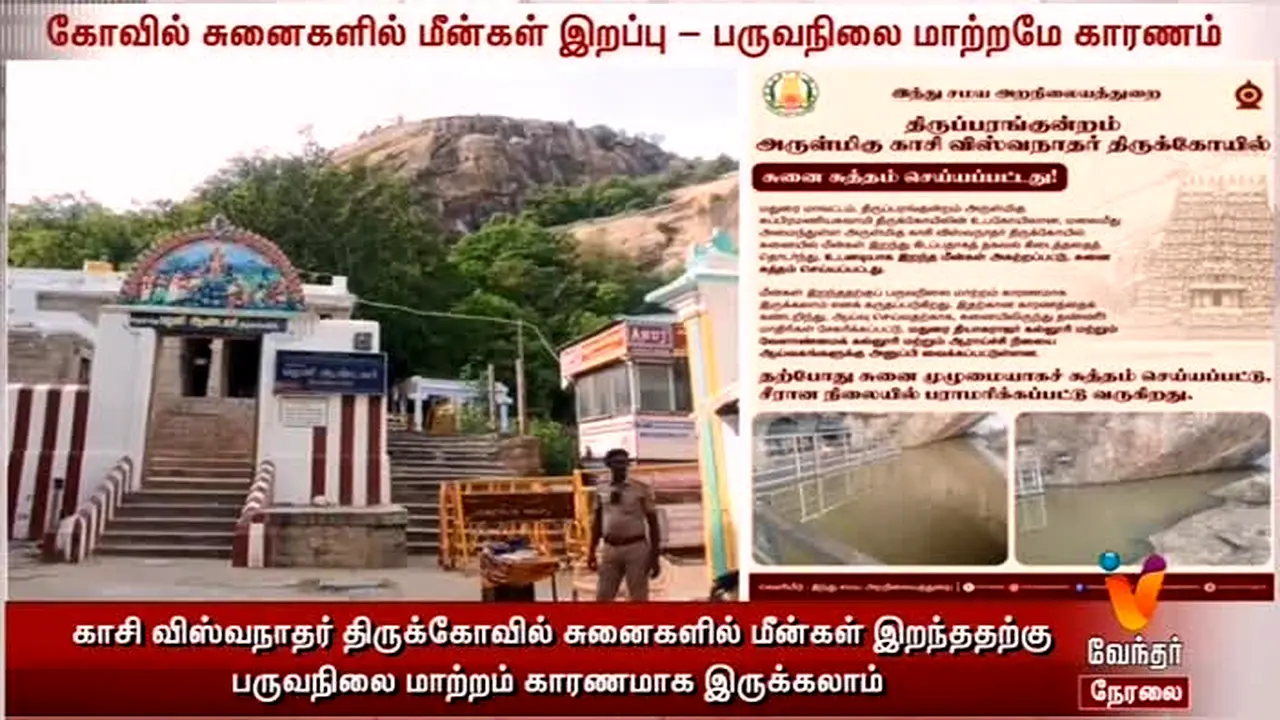 Vendhar TV in diretta