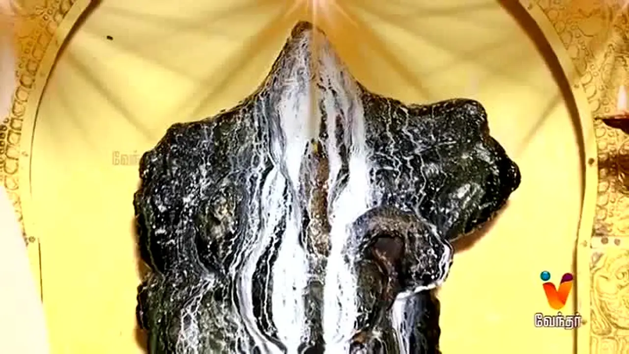Vendhar TV — прямой эфир