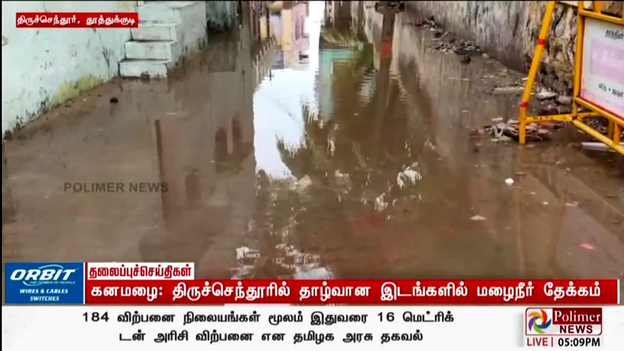 Polimer News live