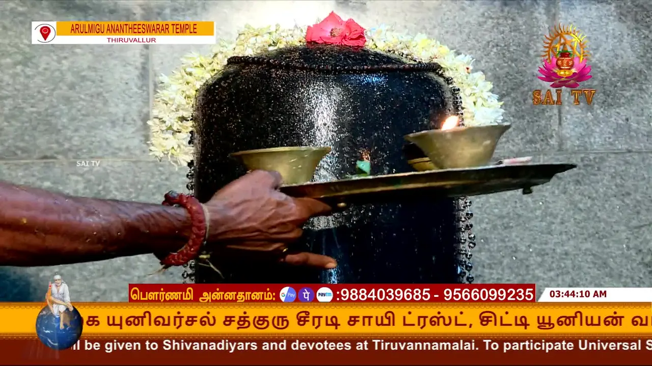 Sai TV live