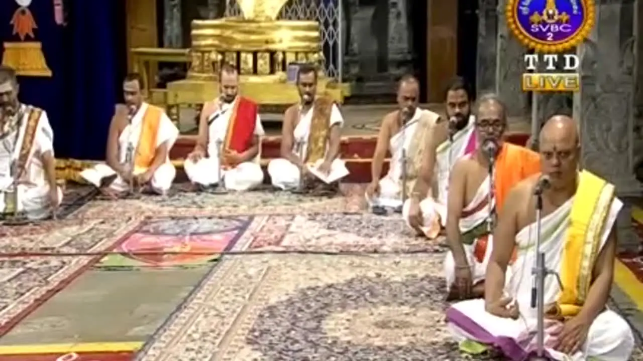 SVBC 2 na żywo