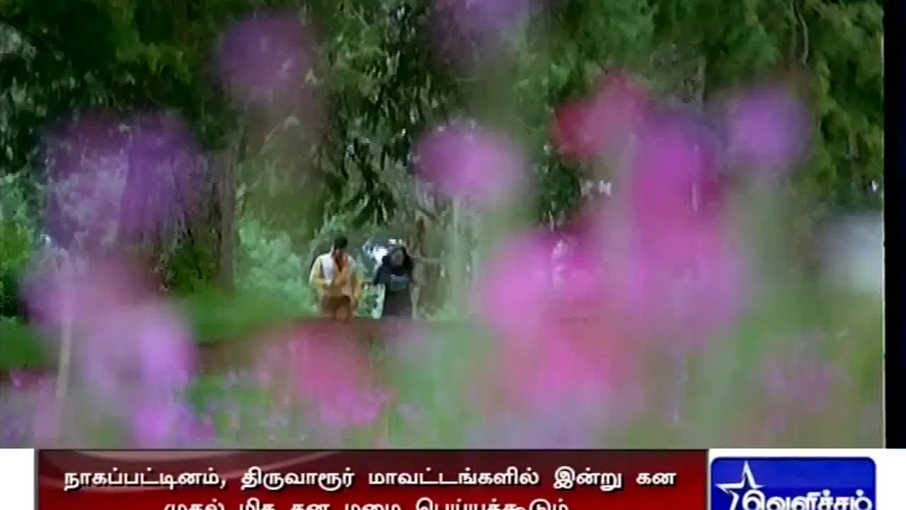 Velicham TV in diretta