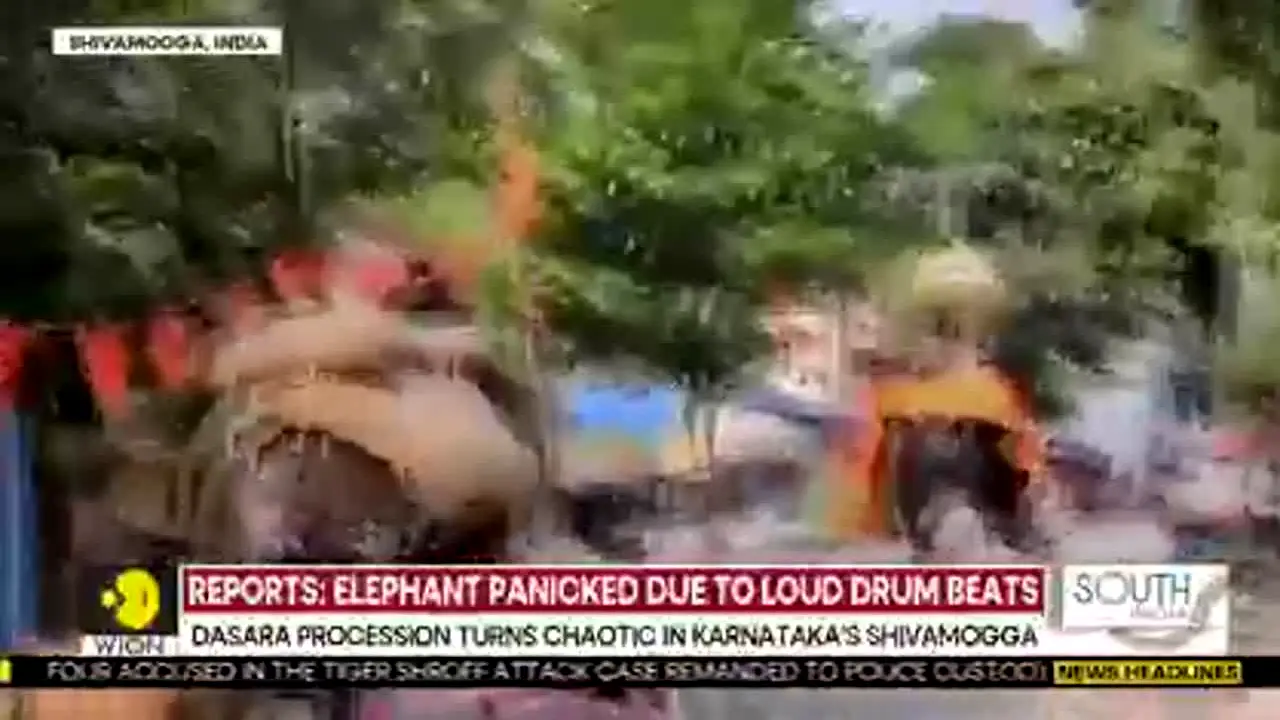 WION en direct