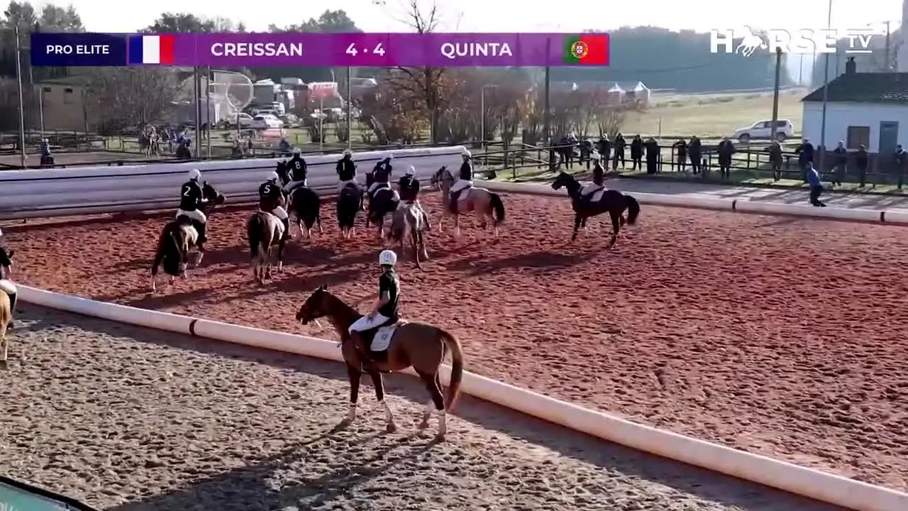 Horse TV live