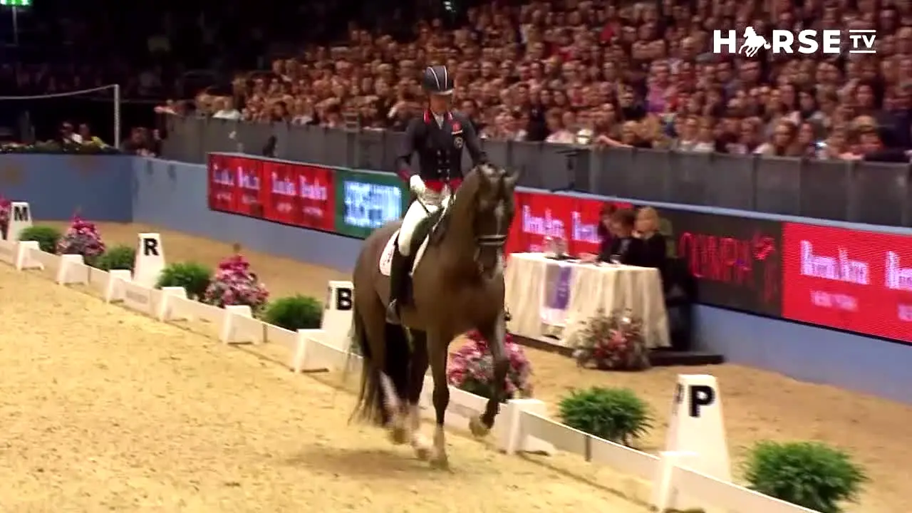 Horse TV ao vivo