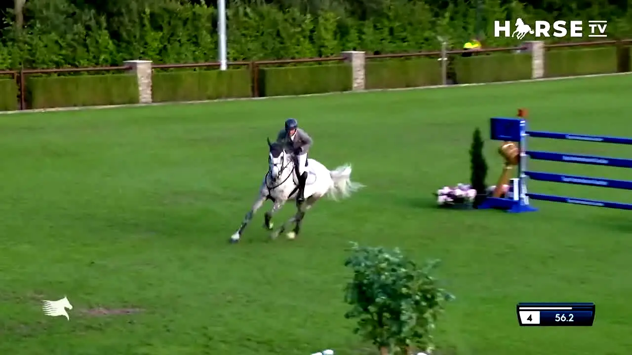 Horse TV en vivo