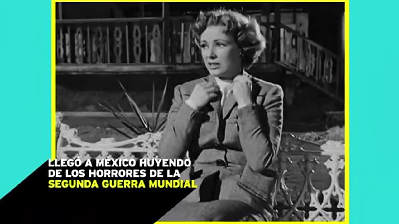 Claro Cinema ao vivo