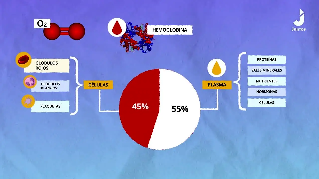 Juntos TV na żywo