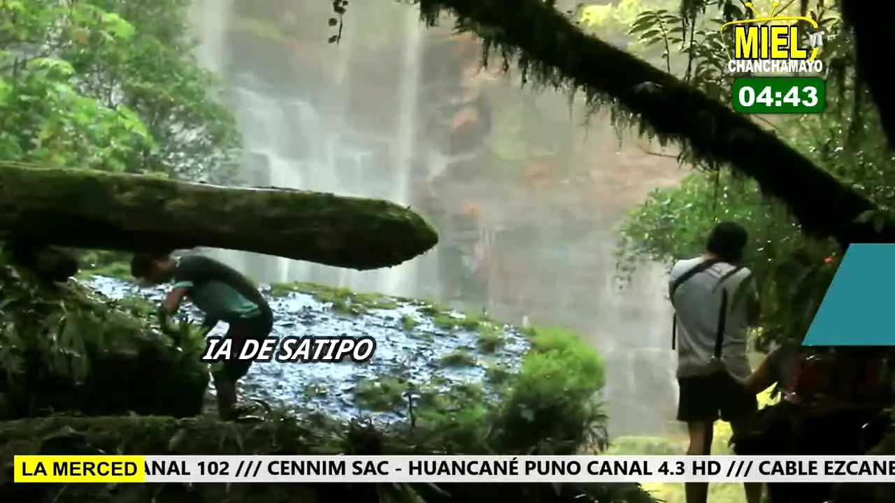 Miel TV live
