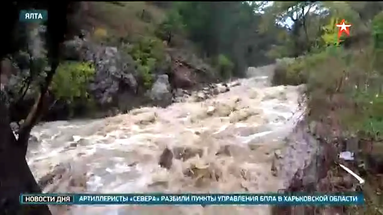 Звезда na żywo