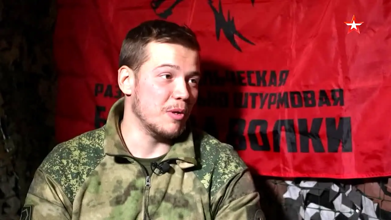 Zvezda live