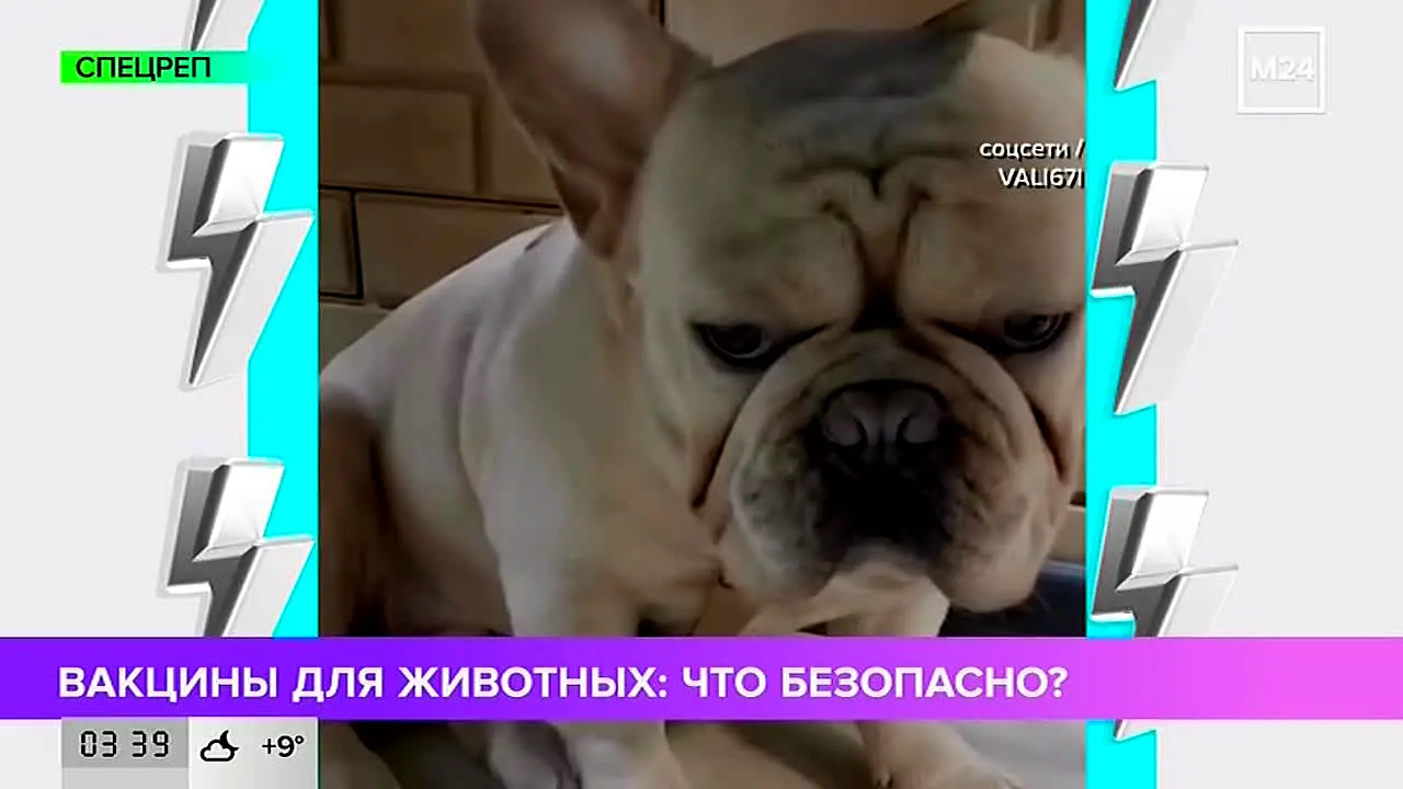 Moskva 24 live