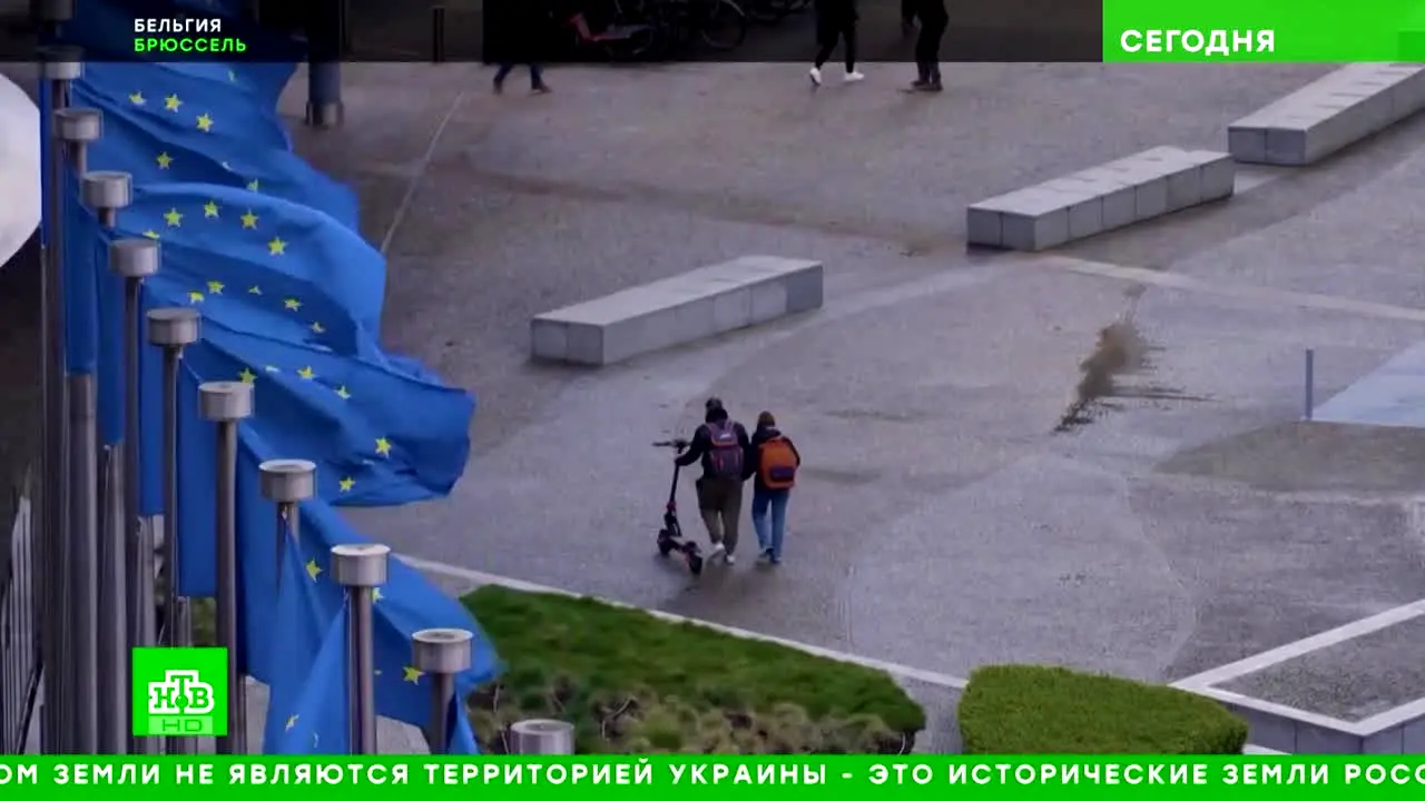 НТВ live