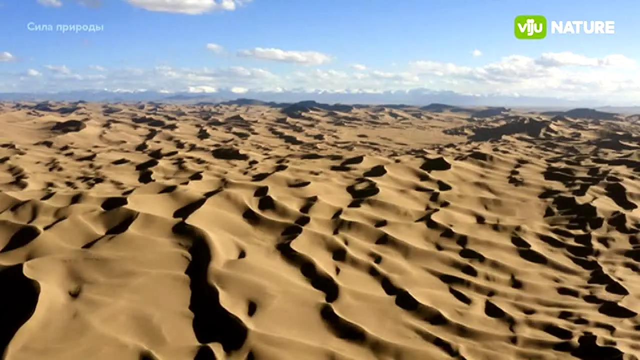 viju Nature in diretta